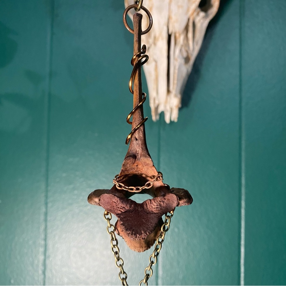 Dyed Deer Vertebrae Bone Copper Wire Brass Chain Necklace - Picture 9 of 12